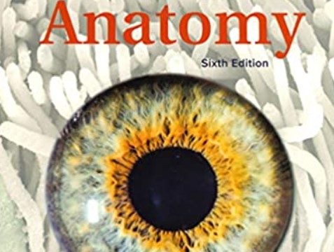 Human Anatomy 6th Edition by Kenneth Saladin PDF Free Download