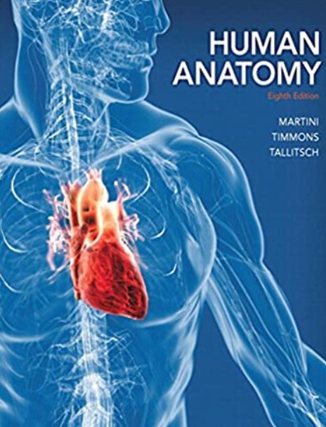 Human Anatomy (8th Edition) - Standalone PDF Free Download