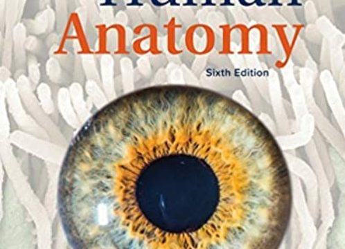 Download Laboratory Manual by Eric Wise to accompany Saladin Human Anatomy 6th Edition PDF Free