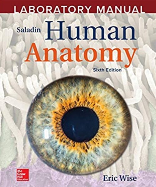 Download Laboratory Manual by Eric Wise to accompany Saladin Human Anatomy 6th Edition PDF Free