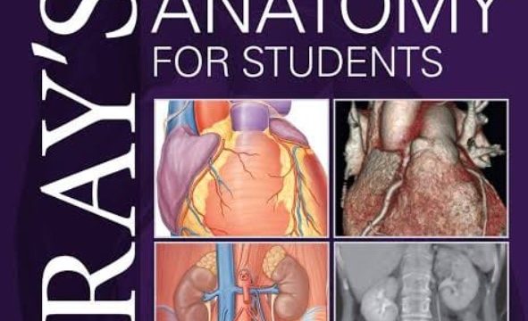 Gray’s Anatomy for Students PDF Free Download