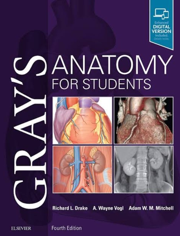 Gray's Anatomy for Students PDF Free Download